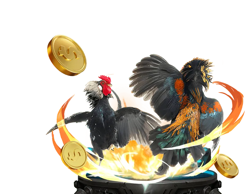 Cá cược bóng đá win18